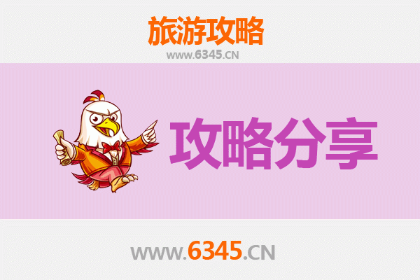 徐州沛县旅游攻略：跟团与自由行深度对比